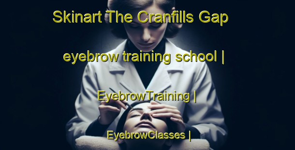 Skinart The Cranfills Gap eyebrow training school | EyebrowTraining | EyebrowClasses | SkinartTraining-United States